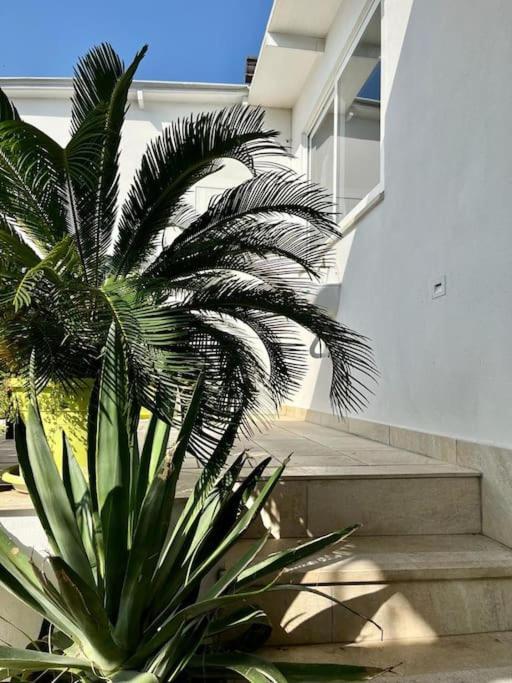 Naples In The History 4M Bed & Breakfast Екстериор снимка